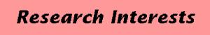 Research Interests